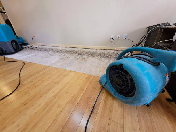 Reliable Basement Flood Cleanup contractor in Bellingham, WA by Hirex Water Damage
