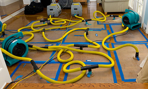 Professional Basement Flood Cleanup technician working in Bellingham, WA